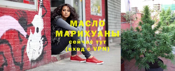 дживик Верхний Тагил
