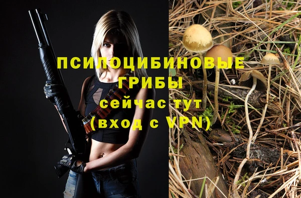 ALPHA PVP Володарск