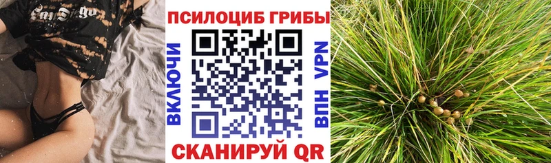 Галлюциногенные грибы Magic Shrooms  Мончегорск 